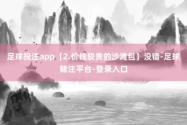 足球投注app【2.价钱较贵的沙滩包】没错-足球赌注平台-登录入口