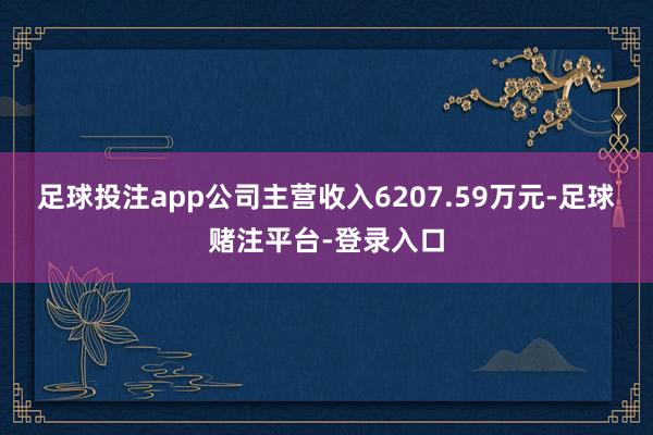 足球投注app公司主营收入6207.59万元-足球赌注平台-登录入口